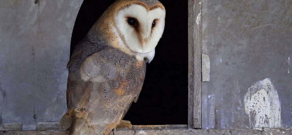 Foto: Natuurmonumenten.nl